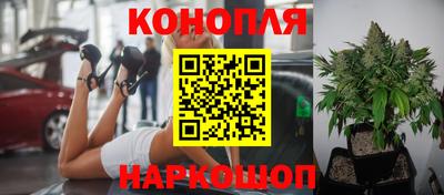 spice Кинель