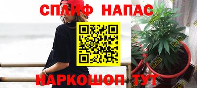 spice Кинель