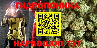винт Кимры