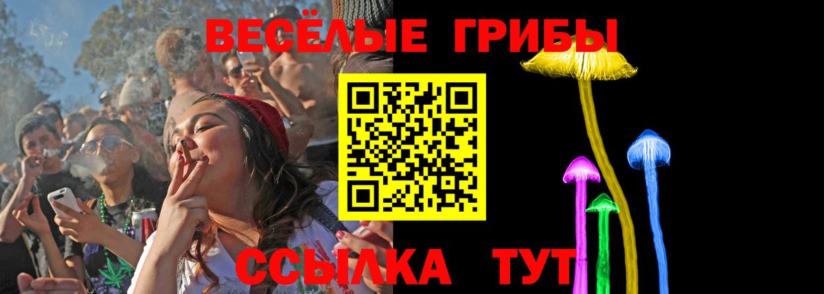 купить   Псилоцибиновые грибы мицелий  Псилоцибиновые грибы Cubensis  Вход с VPN  Уссурийск 